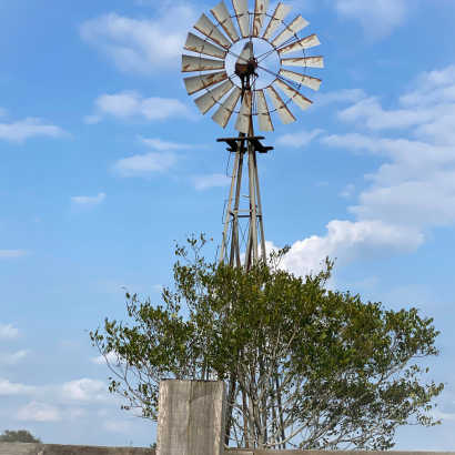 Windmill